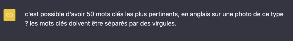 capture d'une question pour chatgpt sur les mots clés pour shutterstock